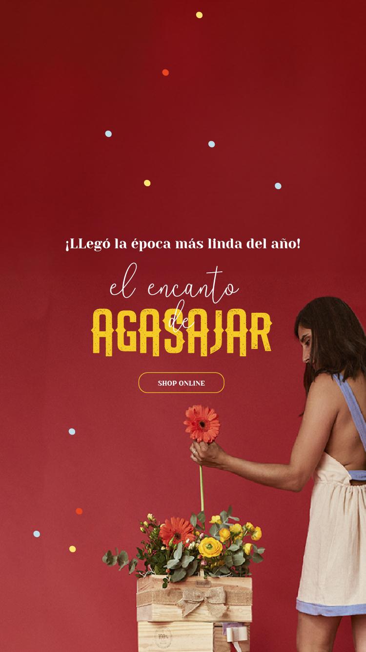 agasajos gift boxes premium corporativas abracajabra.com.ar